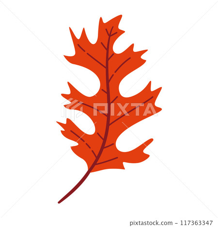 Autumn Oak Leaf. Hand drawn trendy flat style isolated  117363347