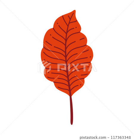 Autumn Leaf. Hand drawn trendy flat style isolated  117363348