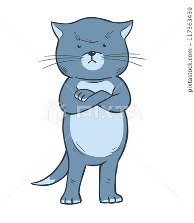 Gloomy domestic cat on white background 117363439