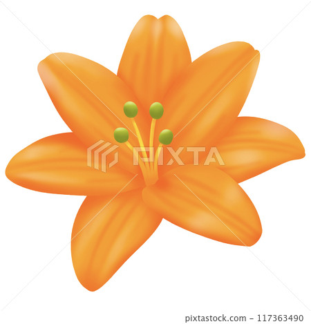 yellow flower with yellow pollen yellow flower with yellow pollen 117363490