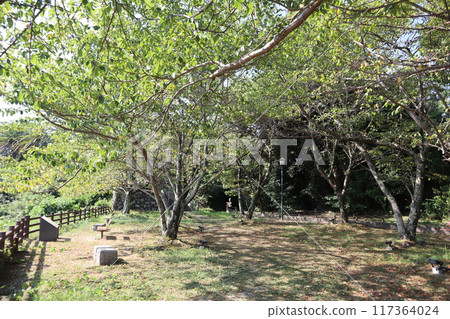 Toba Castle Ruins, Shiroyama Park (Toba City, Mie Prefecture) Toba Castle Ruins, Shiroyama Park (Toba City, Mie Prefecture) 117364024