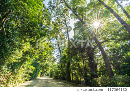 日本寒川城市景觀,俯瞰相模國一宮寒川神社等充滿綠意又神秘... = 2020年7月21日 日本寒川城市景觀,俯瞰相模國一宮寒川神社等充滿綠意又神秘... = 2020年7月21日 117364180