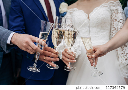Wedding toast celebration with champagne glasses. Elegant bride and groom moment 117364579