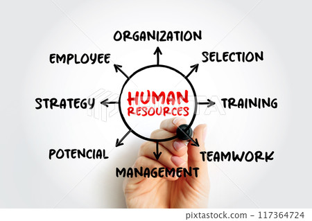 Human resources - people who make up the workforce of an organization, mind map concept for presentations and reports Human resources - people who make up the workforce of an organization, mind map concept for presentations and reports 117364724