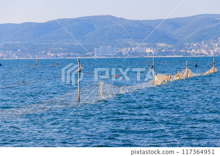 Fishing nets in the Black sea in Bulgaria 117364951