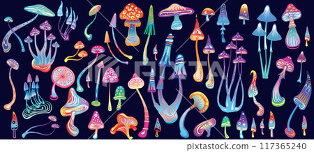 Set of Stylized colorful Magic Mushrooms 117365240
