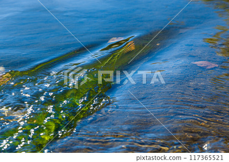 flow of water and spray from a stone 117365521