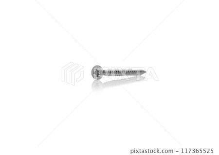 macro screw of silver color on a white background 117365525