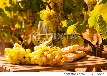 Glass of White wine ripe grapes and bread on table in vineyard Glass of White wine ripe grapes and bread on table in vineyard 117365594