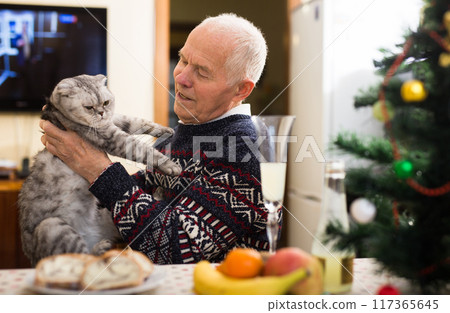 Elderly man together with a cat of the Scottish fold cat celebrates new year at festive table 117365645