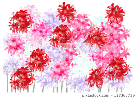 尼琳花卡 1 117365739