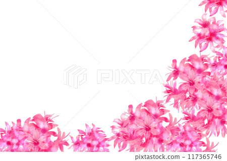 尼琳花卡 7 117365746