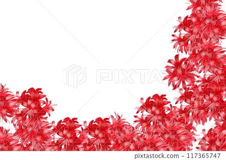 尼琳花卡 8 117365747