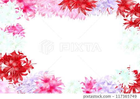 Nerine flower card 10 Nerine flower card 10 117365749
