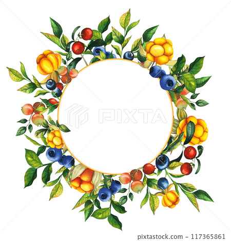 Watercolor round frame with hand drawn cloudberry, cranberry, cowberry and blueberry with berries, leaves, branches. Botanical forest berry illustration on white isolated background. Good for banner 117365861