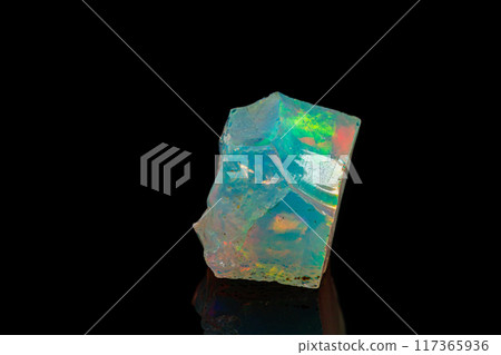 macro mineral stone rare and beautiful opals on a black background macro mineral stone rare and beautiful opals on a black background 117365936