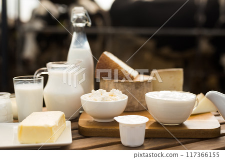Milk, cottage cheese, cream, cheese on the table against the background of cows 117366155