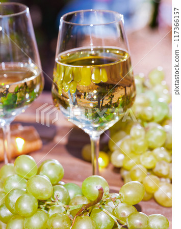 Glass of White wine ripe grapes and bread on table in vineyard 117366157