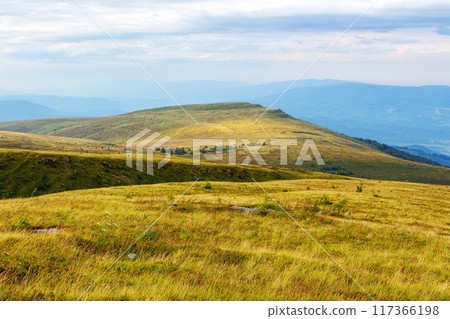 carpathian nature landscape with grassy hills. mountain scenery in late summer. cloudy morning. travel ukraine carpathian nature landscape with grassy hills. mountain scenery in late summer. cloudy morning. travel ukraine 117366198