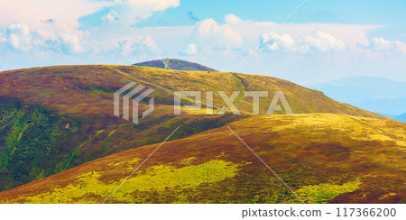 carpathian mountain landscape of ukraine in august. scenery with rolling hills and colorful alpine meadows. borzhava ridge on a sunny day. outdoor adventures carpathian mountain landscape of ukraine in august. scenery with rolling hills and colorful alpine meadows. borzhava ridge on a sunny day. outdoor adventures 117366200