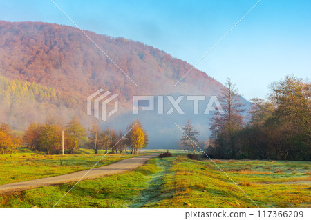 old asphalt road through the misty valley. forest with colorful foliage in morning light. beautiful countryside landscape 117366209