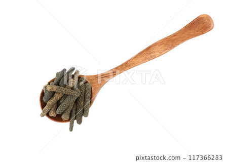 Top view of spoon with Long or Pippali pepper over white background. Top view of spoon with Long or Pippali pepper over white background. 117366283
