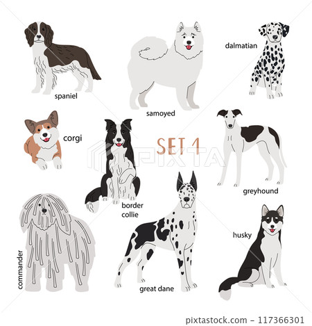 Set of various breeds white dogs 117366301