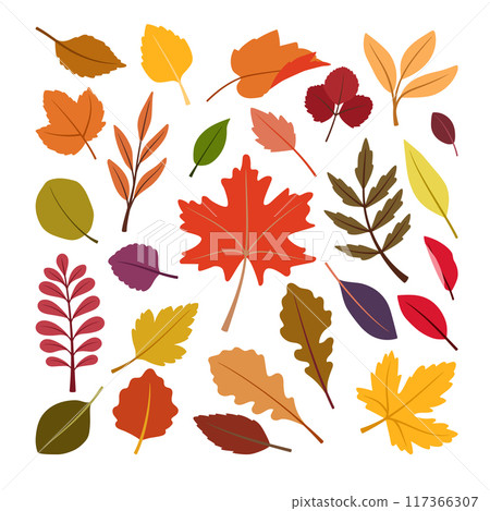 Set of colorful isolated autumn leaves on white background Set of colorful isolated autumn leaves on white background 117366307