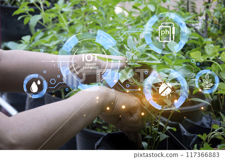 The concept of using AI and smart farming 117366883