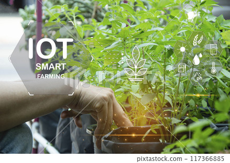 The concept of using AI and smart farming.. 117366885