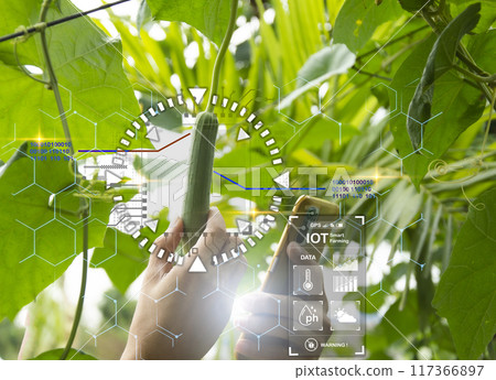 The concept of using AI and smart farming The concept of using AI and smart farming 117366897