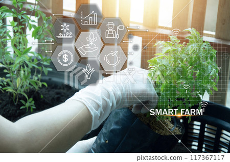 The concept of using AI and smart farming 117367117