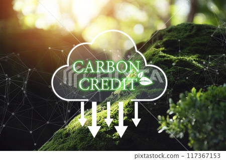 Carbon credit or CO2 trading market. Carbon tradable certificates for buy-sell. Business and environment sustainable. industry and company Reduc of carbon emissions to Net zero greenhouse gas target. 117367153