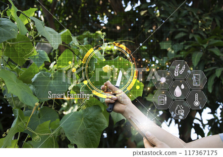 Concepts of using AI and smart farming, increasing productivity and controlling production. Concepts of using AI and smart farming, increasing productivity and controlling production. 117367175