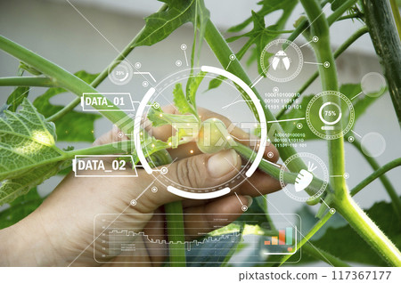Concepts of using AI and smart farming, increasing productivity and controlling production. 117367177