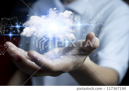 Concepts for using the cloud server system 117367190