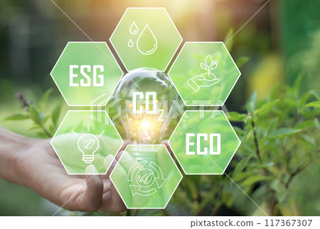 Sustainable development and business operations based on renewable energy CO2 Emission Reduction Concepts Green industries using renewable energy can limit global warming changes. 117367307