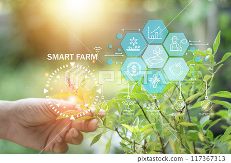 The concept of using AI and smart farming.. 117367313