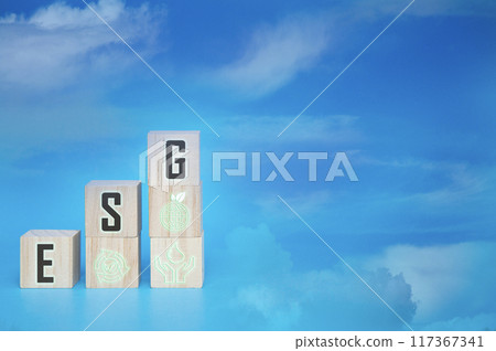 ESG icon concept for environment, society and governance in sustainable business 117367341