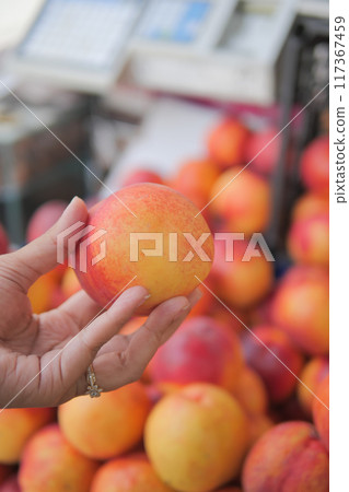 Fresh, ripe nectarines available at the farmers market, perfect for a healthy snack 117367459