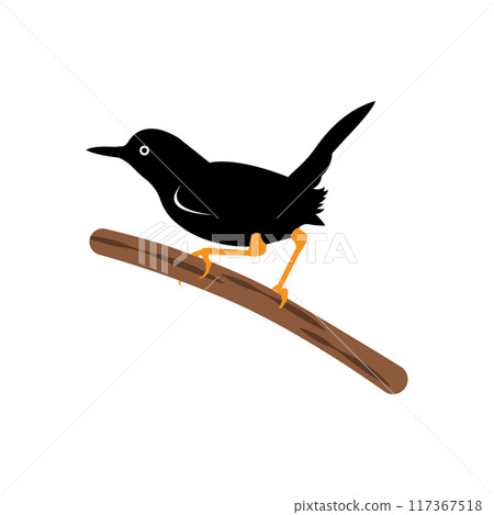 beautiful songbird icon beautiful songbird icon 117367518