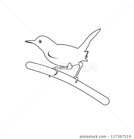 beautiful songbird icon beautiful songbird icon 117367519
