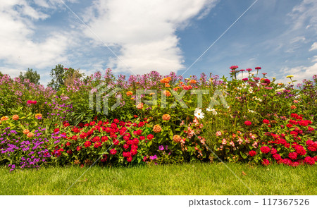 flower bed with blooming flowers in Royal Game Reserve Stromovka, Central Park Prague, Czech republic flower bed with blooming flowers in Royal Game Reserve Stromovka, Central Park Prague, Czech republic 117367526