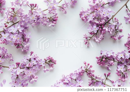 Frame of lilac branches on a white background, spring flowers 117367751