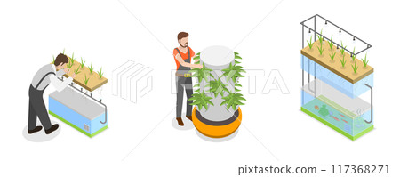3D Isometric Flat  Illustration of Hydroponics, Aeroponics And Aquaponics In Greenhouse, Agriculture Methods for Crop Cultivation 117368271