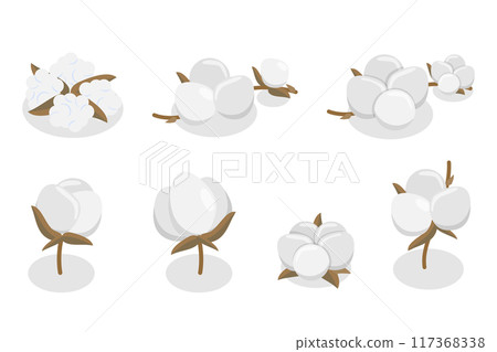 3D Isometric Flat Illustration of Cotton Flower Collection, Pure and Organic Product 3D Isometric Flat Illustration of Cotton Flower Collection, Pure and Organic Product 117368338
