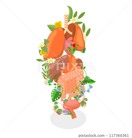 3D Isometric Flat  Illustration of Human Anatomy, Internal Organs Among Gardent Flowers and Plants 117368361