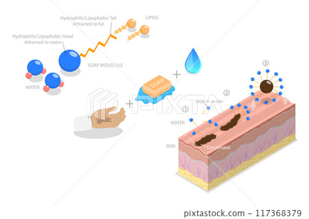 3D Isometric Flat  Illustration of How Soap Works, Healthcare and Hygiene Basics 117368379