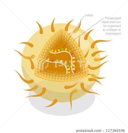 3D Isometric Flat Illustration of RNA Vaccine, Drug for Produce an Immune Response 3D Isometric Flat Illustration of RNA Vaccine, Drug for Produce an Immune Response 117368596