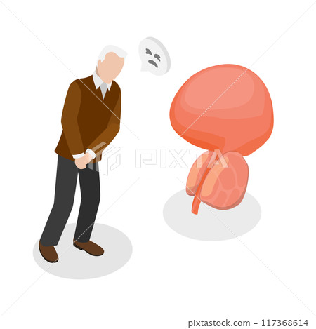 3D Isometric Flat Illustration of Enlarged Prostate, Problems of Male Reproductive System 3D Isometric Flat Illustration of Enlarged Prostate, Problems of Male Reproductive System 117368614